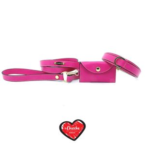 Pupakiotti Premium Set 3 Pezzi Collare, Guinzaglio e Dispenser Fuxia