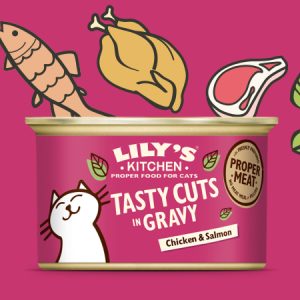 Lily’s Kitchen TASTY CUTS IN GRAVY Chicken Salmon bocconcini in salsa al Pollo e Salmone