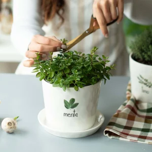Simple Day Vaso Con Sottovaso Menta